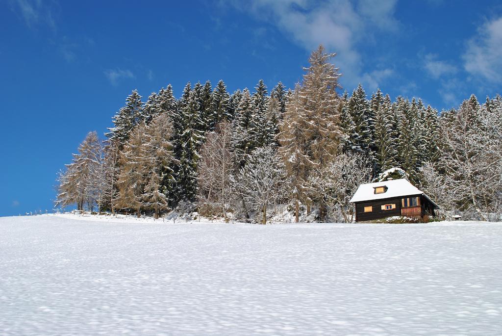 Schlintl-Hof Villa Liebenfels ห้อง รูปภาพ