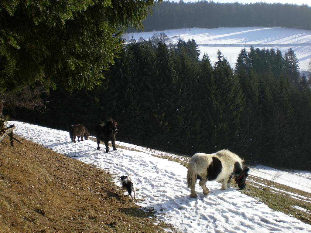Schlintl-Hof Villa Liebenfels ภายนอก รูปภาพ