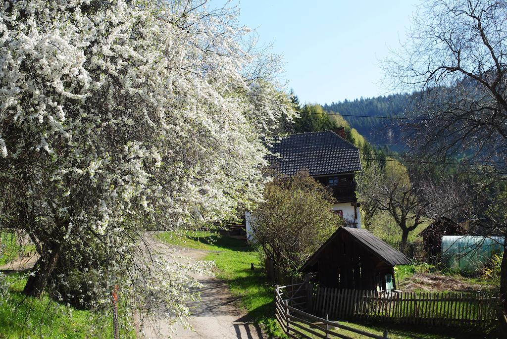 Schlintl-Hof Villa Liebenfels ภายนอก รูปภาพ