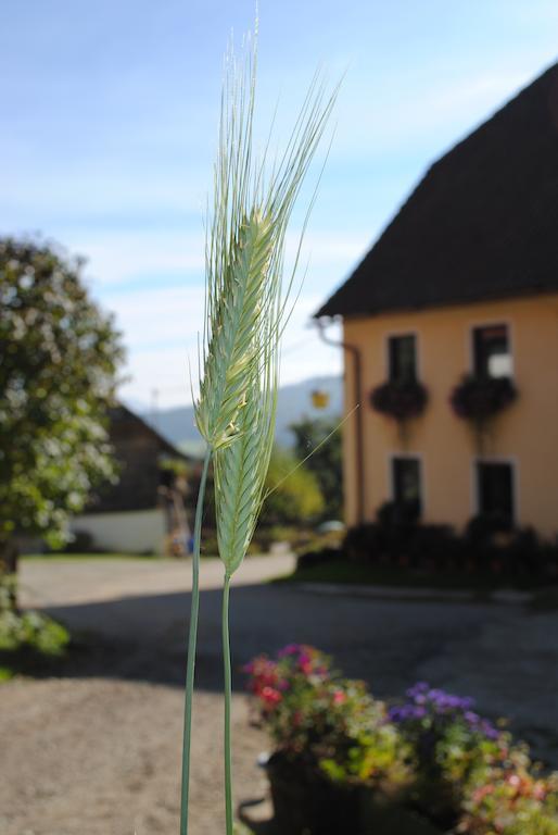 Schlintl-Hof Villa Liebenfels ภายนอก รูปภาพ